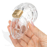 CB-6000S Male Chastity Penis Cage