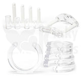 CB-6000S Male Chastity Penis Cage