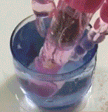 Triple The Pleasure Rabbit Special