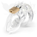 CB-6000S Male Chastity Penis Cage